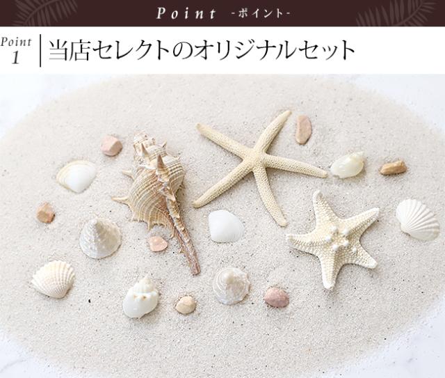 貝がら(シェル) ヒトデ 巻貝 砂(サンド)