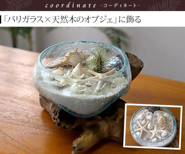 流木とガラスのオブジェ 貝殻