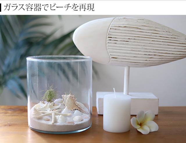 貝殻 コーディネート 夏