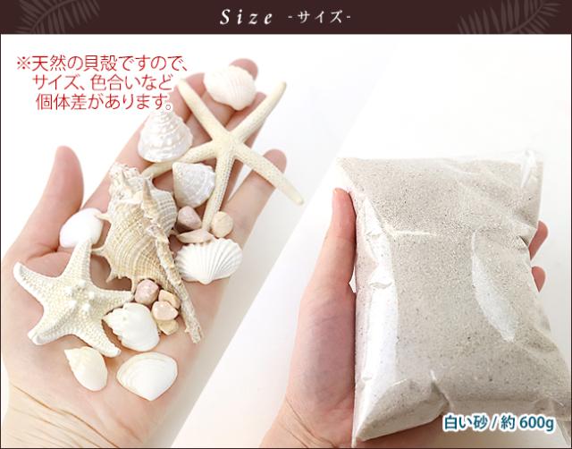真珠付き天然貝殻置物 Amazon.co.jp: 【貝殻の問屋さん】貝殻の小物入れ マルサザエ