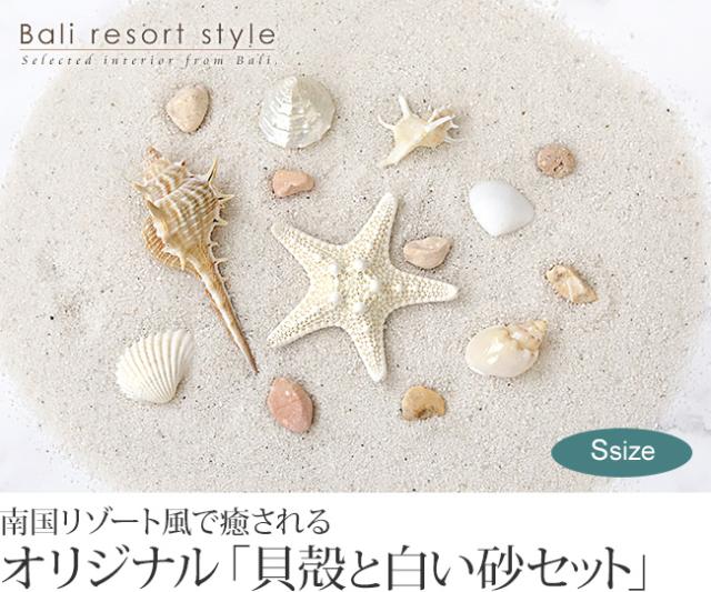 貝殻と白い砂のセット(詰め合わせ)販売(通販)