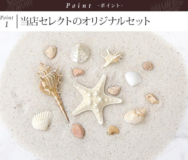 貝がら(シェル)　ヒトデ　巻貝　砂(サンド)