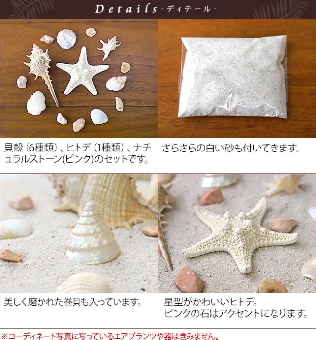 貝がら インテリア