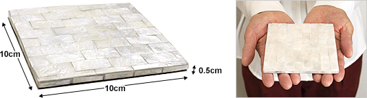 コースターのサイズ
