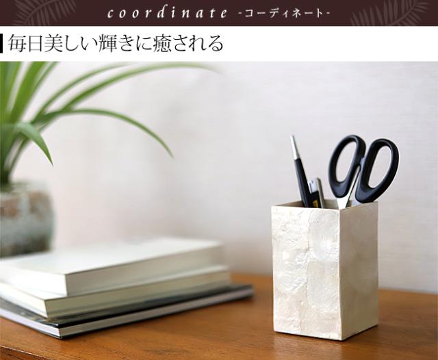 ペンスタンド シェル アジアン