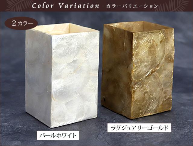 カラーバリエーション