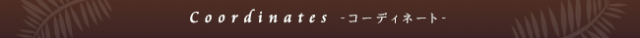 コーディネート