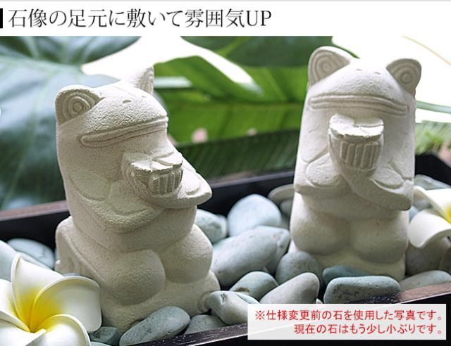 観葉植物　化粧石　土隠し