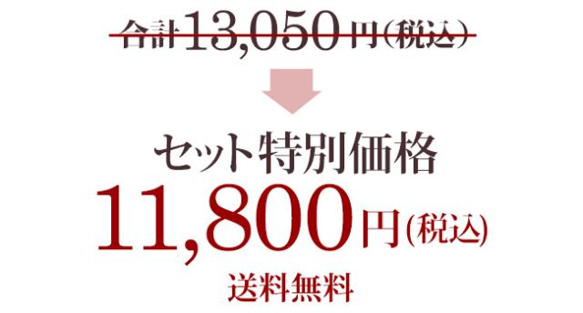 セット特別価格9,900円(税込)送料無料
