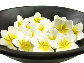 フランジパニ　バリ