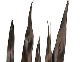 デコレーションセット(リーフ&枝&棒)