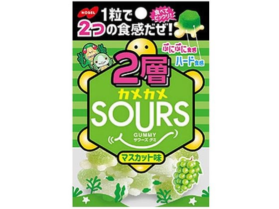 ノーベル製菓 2層カメカメサワーズ マスカット 45g ノーベル