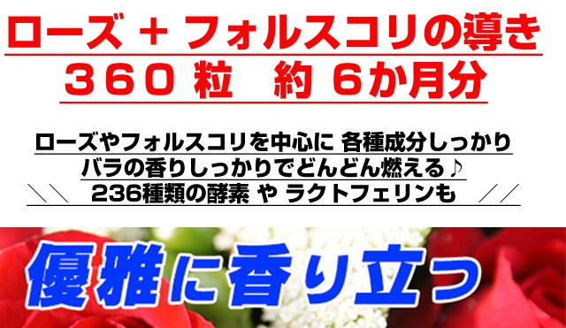 送料無料 ローズ フォルスコリの導き360粒 約6か月分 ２ ３万個突破
