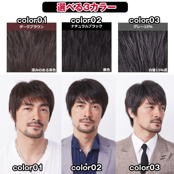 全日本送料無料 送料無料メンズウィッグ オム リーブル カジュアルスタイル02 ナチュラルブラック 男性用かつら 高級ウィッグ 総手植え 白髪交じり 最も優遇 Supdeco Ma