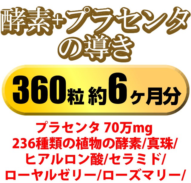 送料無料 酵素 プラセンタの導き360粒約6か月分 １ 6万個突破 自分