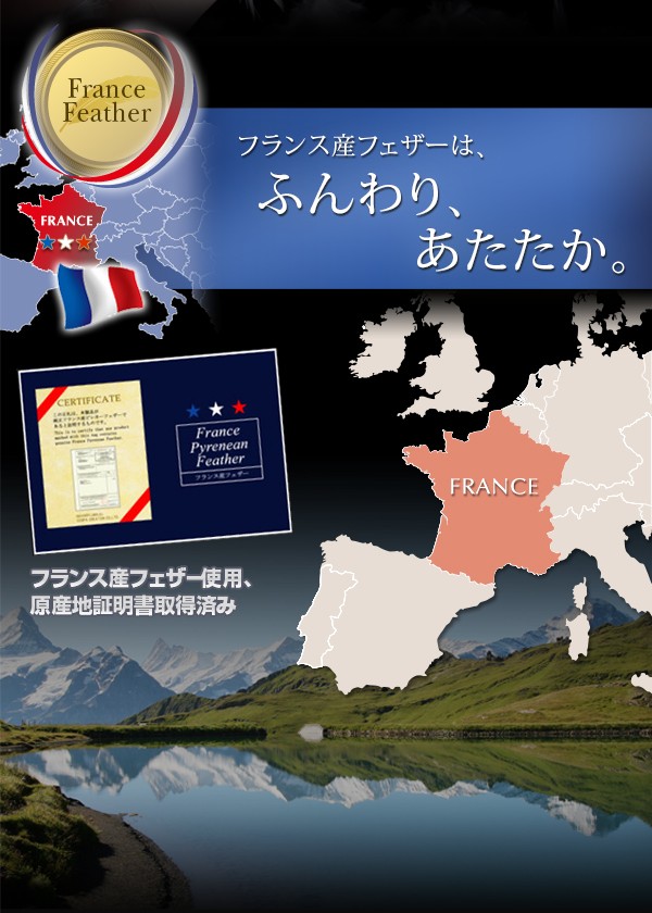 最新作格安 布団セット 羽根布団 羽根布団セット 送料無料 5色対応 フランス産フェザー 100% 羽根布団10点セット ベッド用クィーンの通販はau PAY マーケット - ミキヤ家具店|商品ロットナンバー:122970545 HOT得価