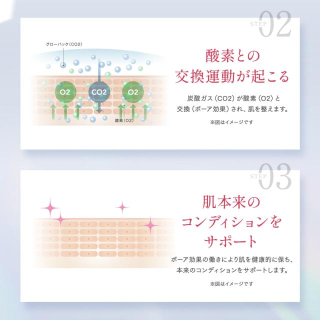 エニシーグローパックプレシャス炭酸ガスパック10回分セット