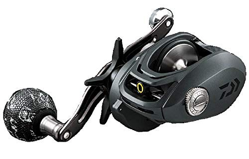 リール Daiwa ダイワ Daiwa Fishing Reel Lexa Type-Wn Reel 6Bb