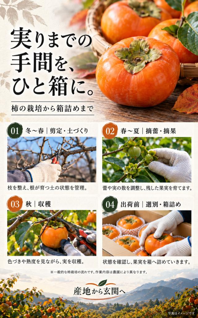 ふくおか 早秋柿