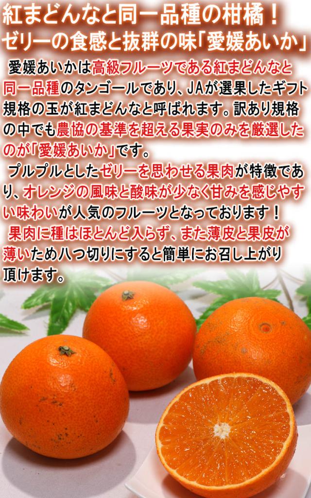 まどんな フルーツ