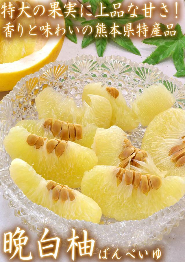 晩白柚 熊本