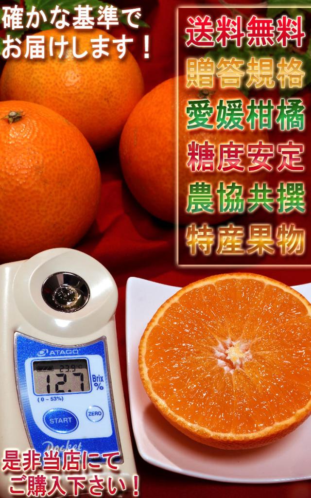 フルーツ 特産品