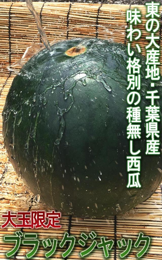 種無しスイカ 送料無料