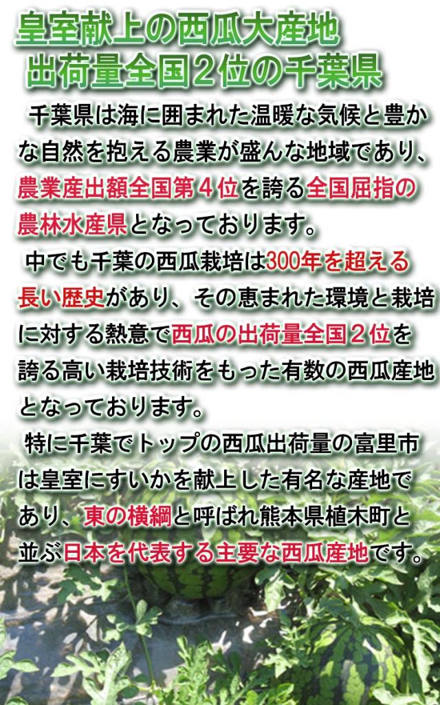 ブラックジャック 通販