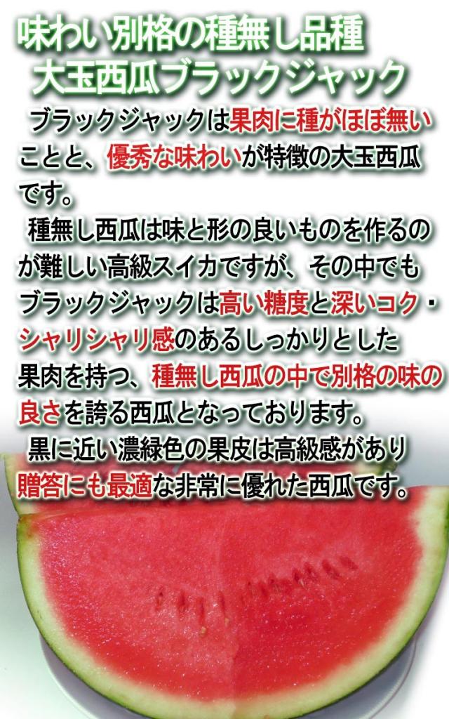 西瓜 贈答