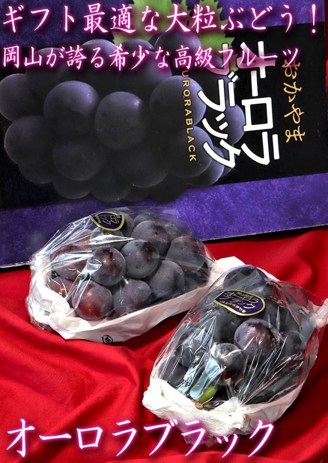 オーロラブラック ぶどう