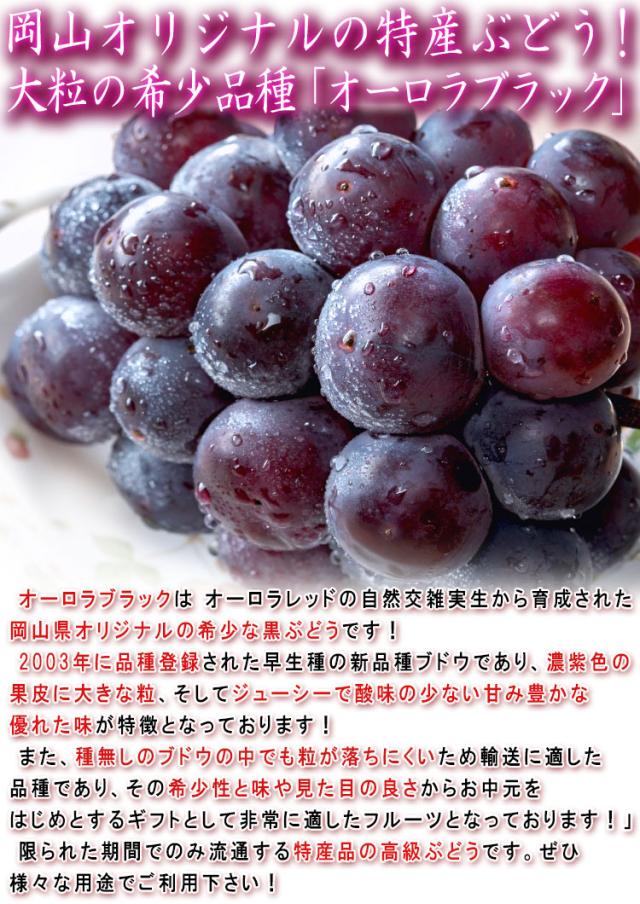フルーツ オーロラブラック