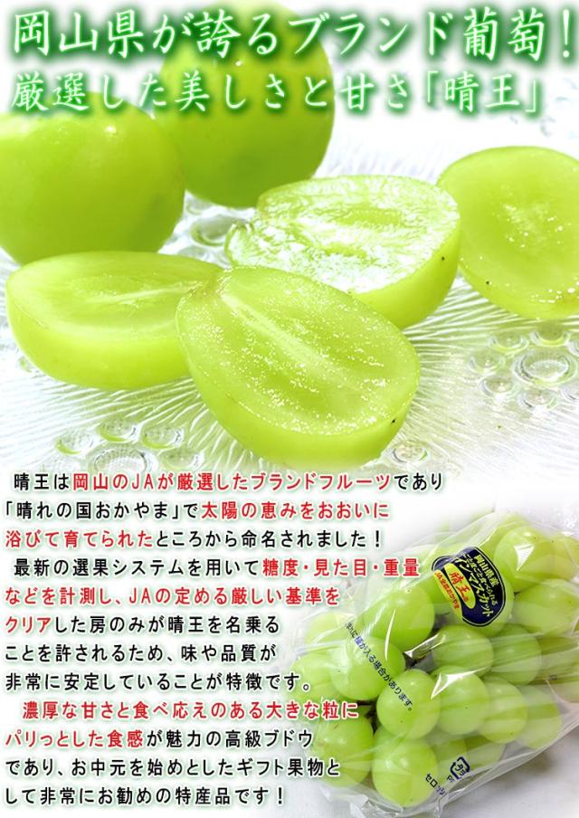 晴王 ギフト