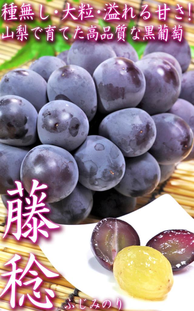 藤稔 ぶどう