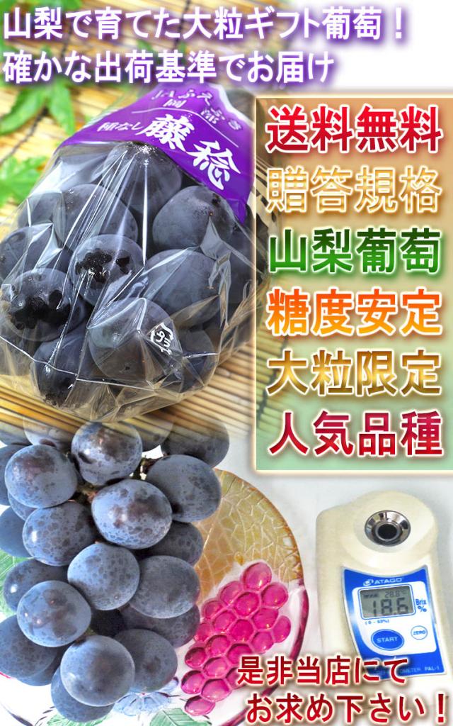 ギフト 果物
