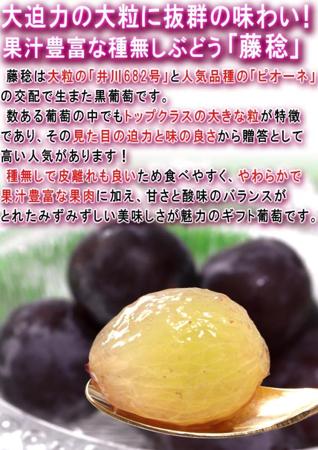 種無し ブドウ