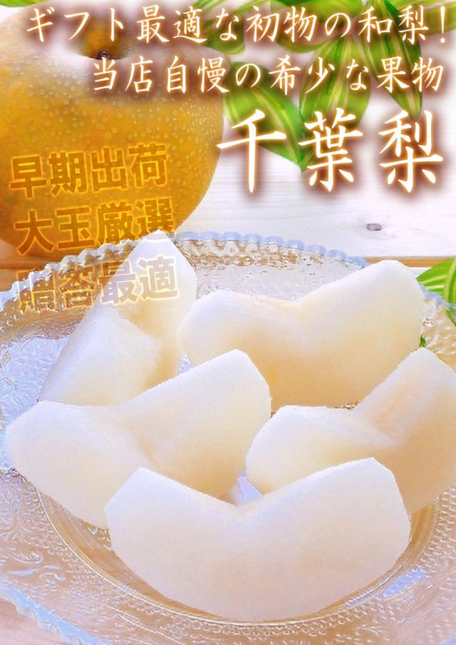 千葉梨 幸水