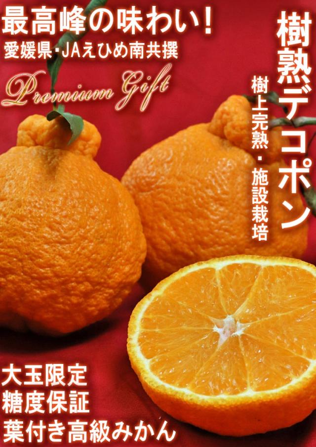 デコポン 樹上完熟