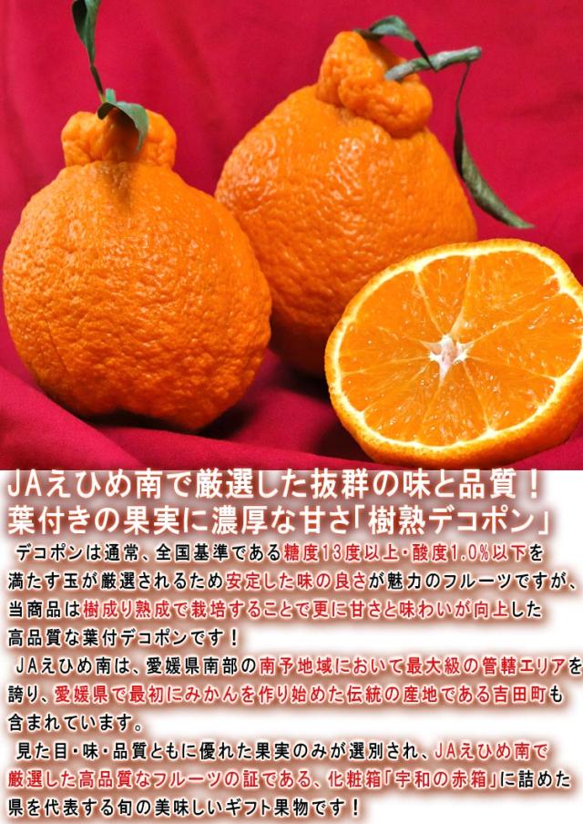 樹熟デコポン JAえひめ南