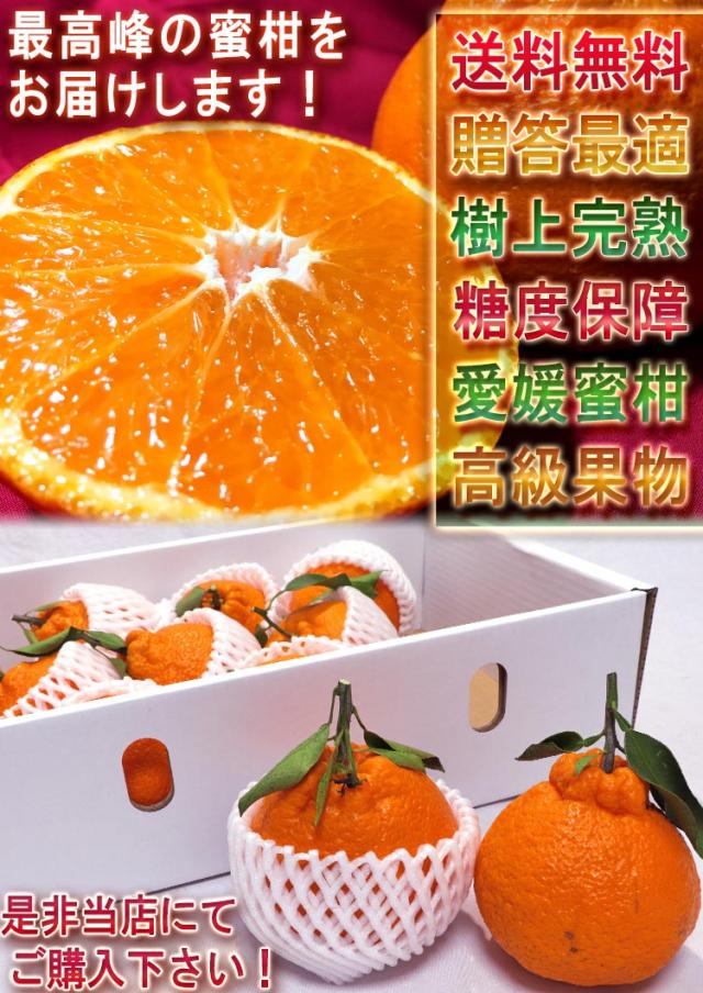 不知火 ミカン