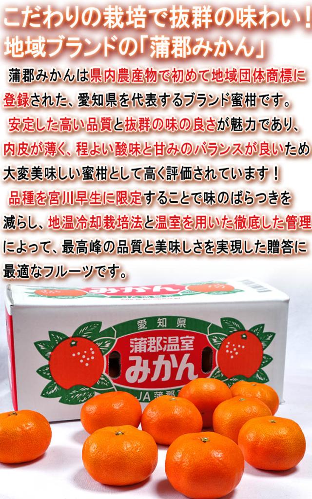 果物 蜜柑