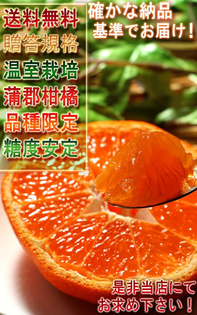 地域ブランド みかん