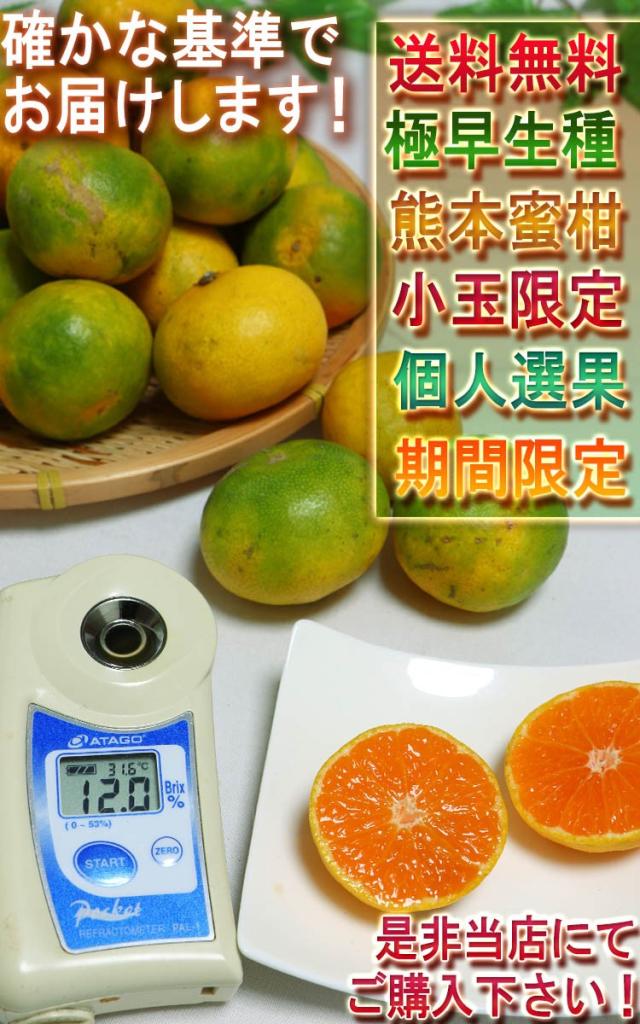 極早生 みかん