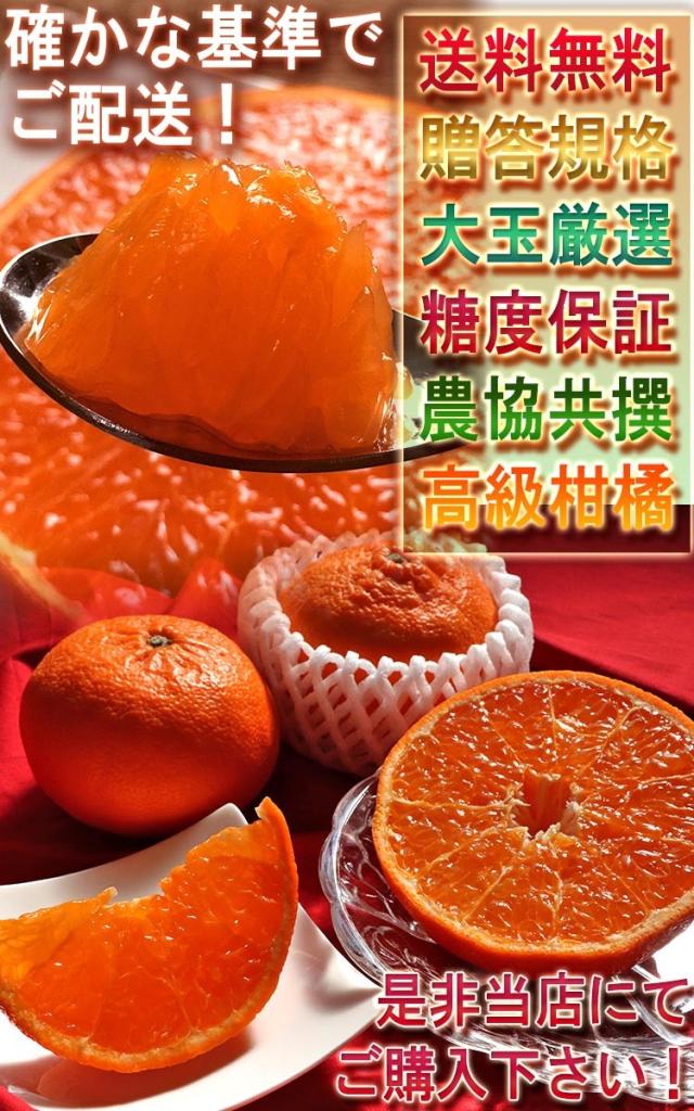 JAからつ はまさき