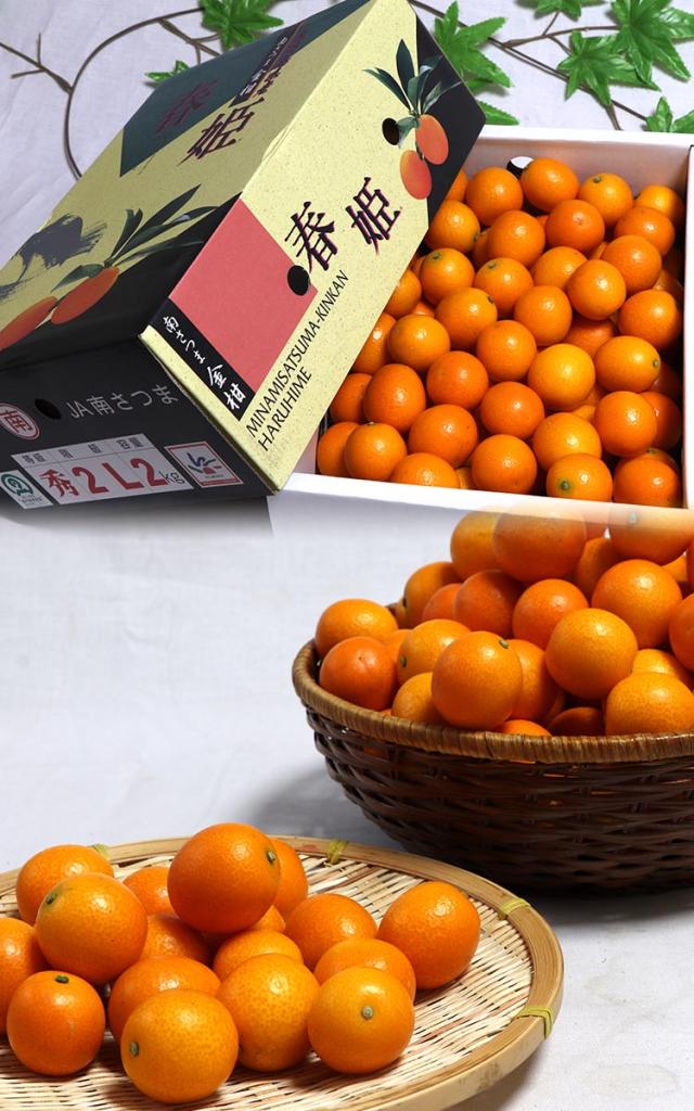 送料無料 フルーツ