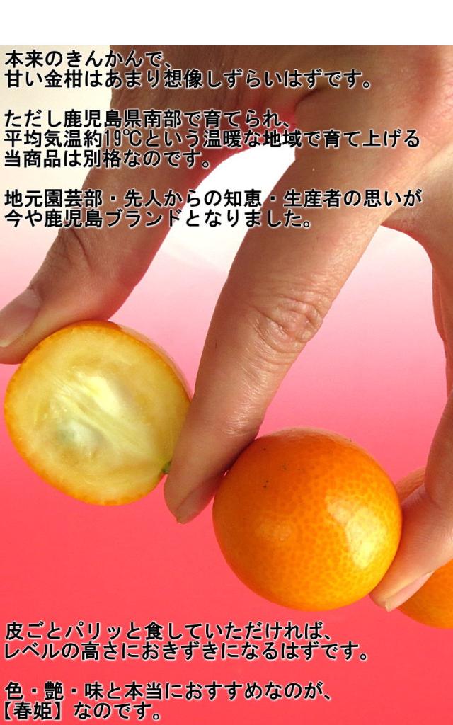 かごしまブランド 通販