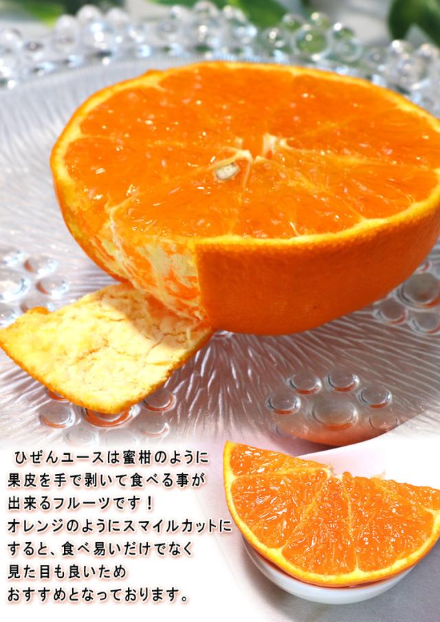 特産品 フルーツ