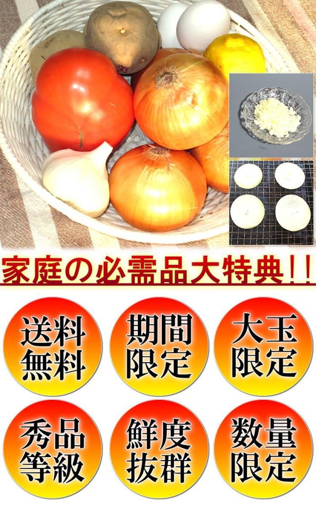 新玉ねぎ おすすめ
