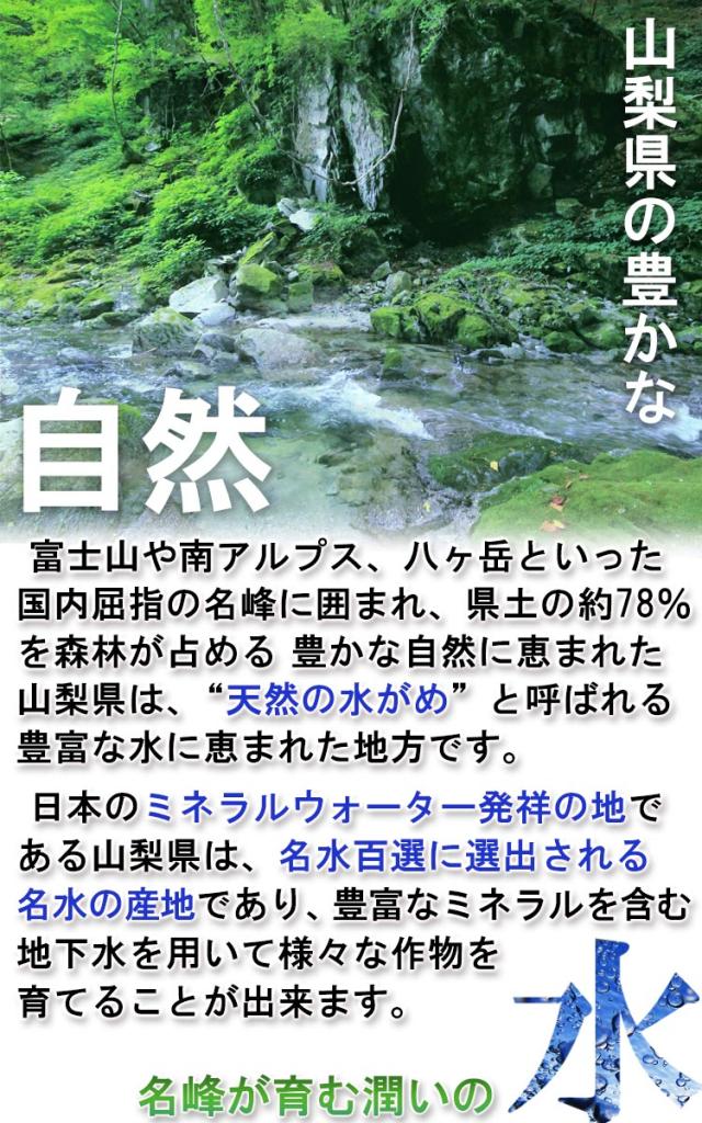 フルーツ やまなし