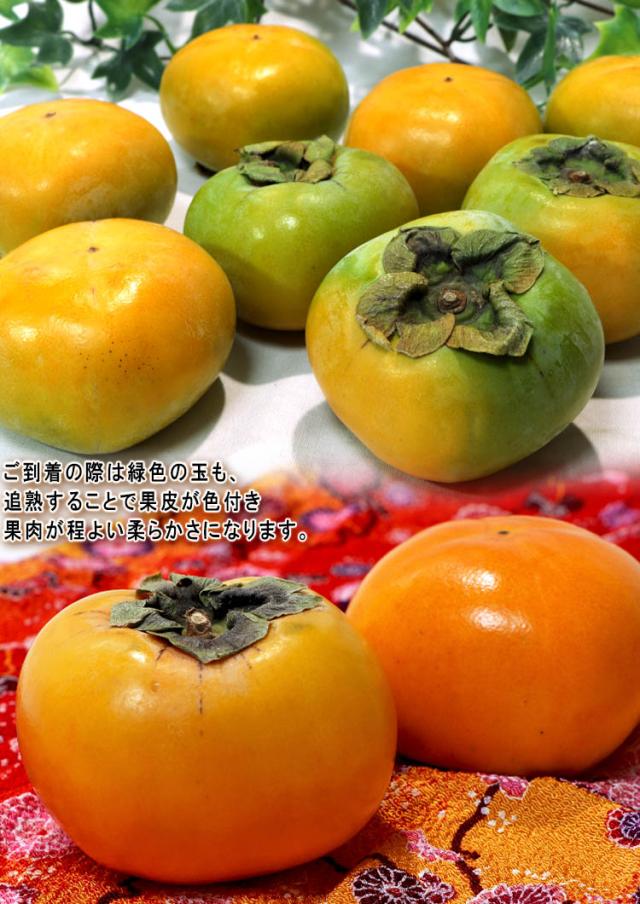 家庭用 柿