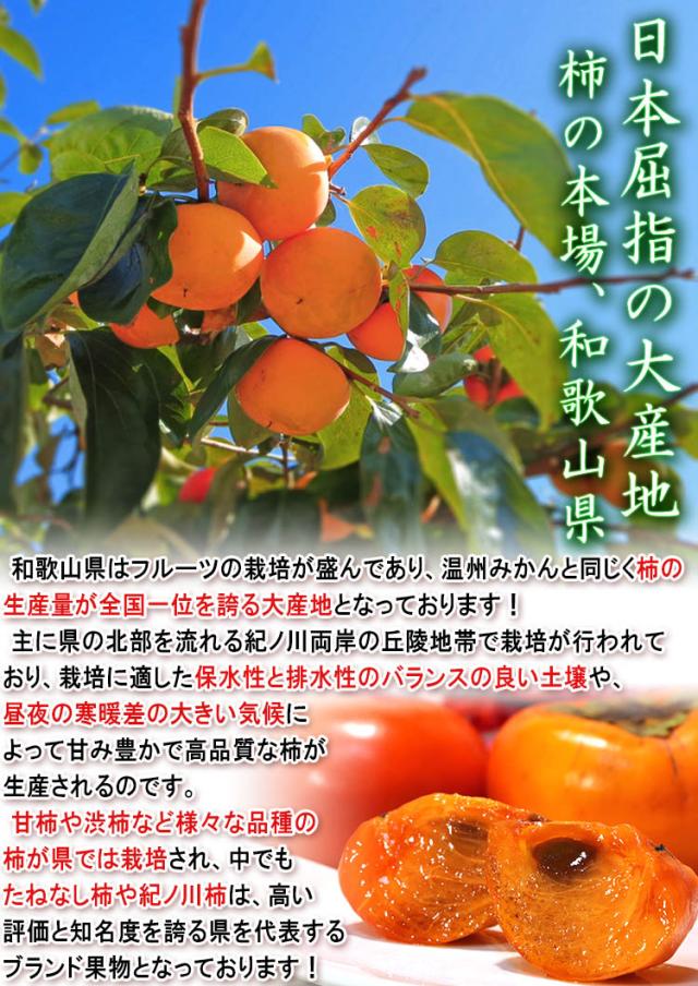 和歌山 柿